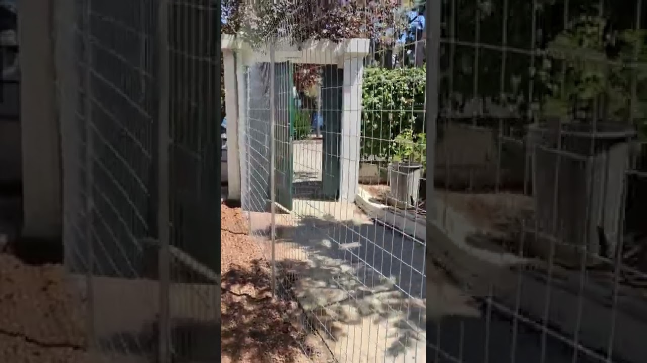 Δίχτυ προστασίας για γάτες. Γατώνας σε κήπο με συρματόπλεγμα, κολώνες και δίχτυ.