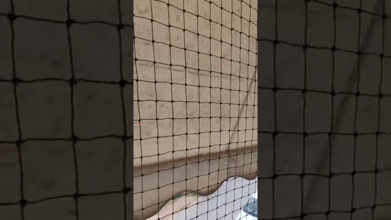 Δίχτυ προστασίας για γάτες σε γωνιακό μπαλκόνι με τέντες