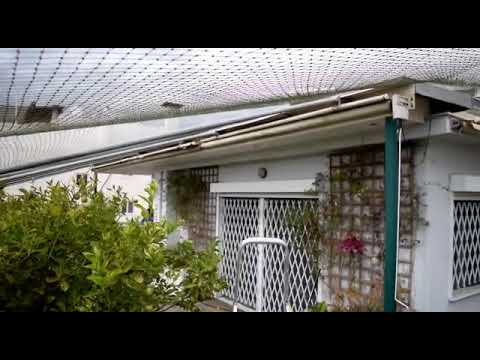 Δίχτυ προστασίας για γατες σε 250 τετραγωνικά ταρατσα με δώμα, με προβόλους και πολλα ανοίγματα.