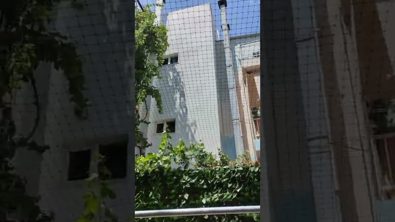 Δίχτυ προστασίας για γάτες σε κηπο για να αποτραπεί η διαφυγή και η είσοδος ξενων γατών