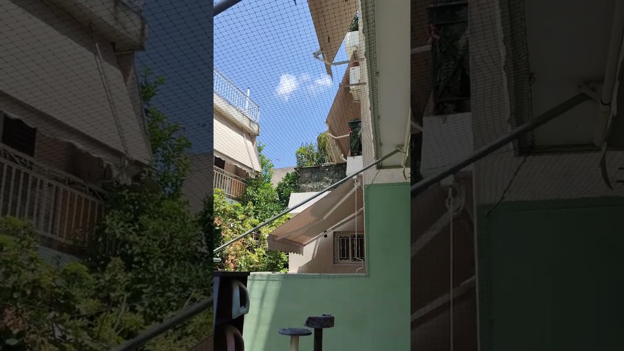 Δίχτυ προστασίας για γάτες σε κηπο για να αποτραπεί η διαφυγή και η είσοδος ξενων γατών