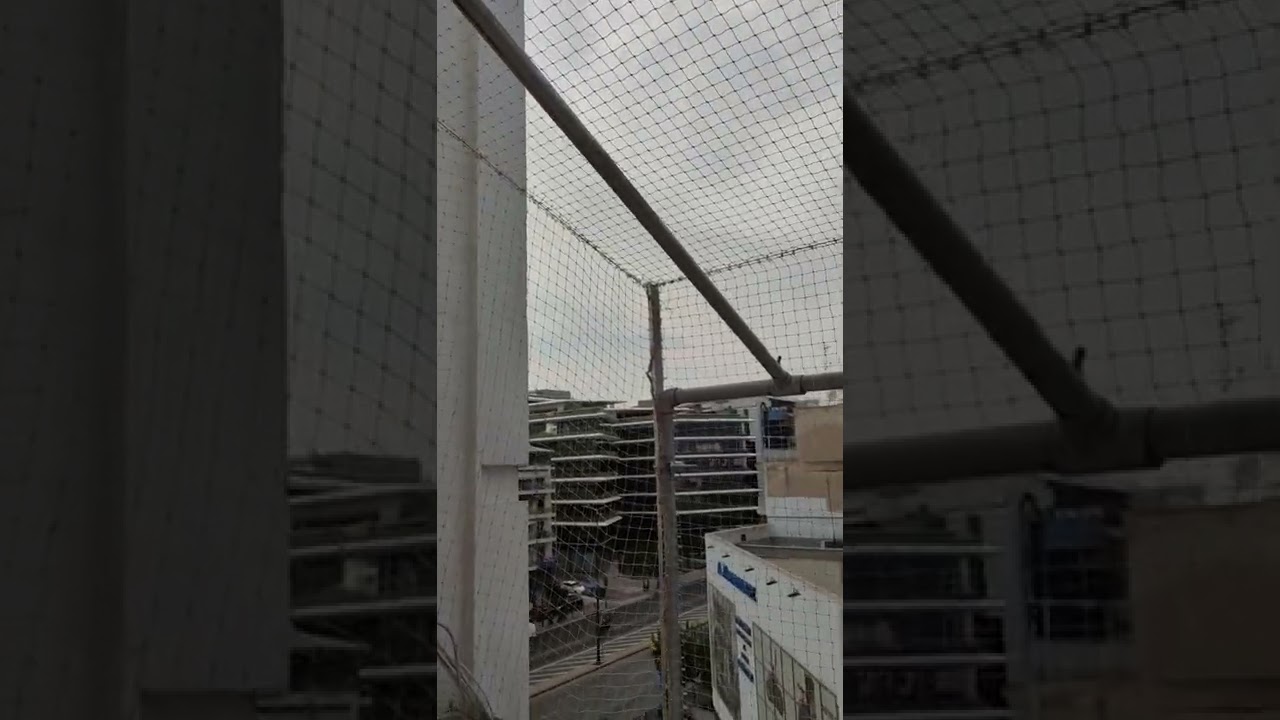 Δίχτυ προστασίας για γάτες σε ρετιρε, τοποθετημενο με κολωνες ανυψωσης, πανω απο τις τεντες.