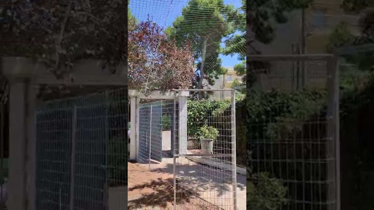 Δίχτυ προστασίας για γάτες. Γατώνας σε κήπο με συρματόπλεγμα, κολώνες και δίχτυ.