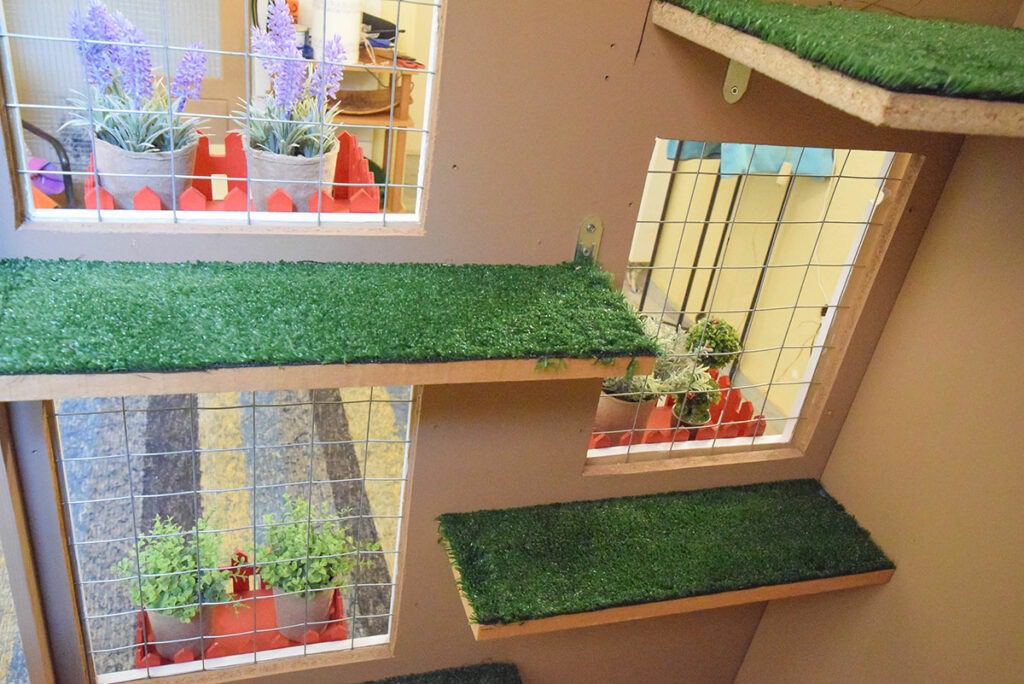 ασφάλεια γάτας στο μπαλκόνι